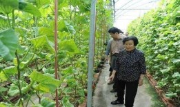 网络爆料平台 瓜瓜吃瓜故事,揭秘网络爆料背后的真相与争议